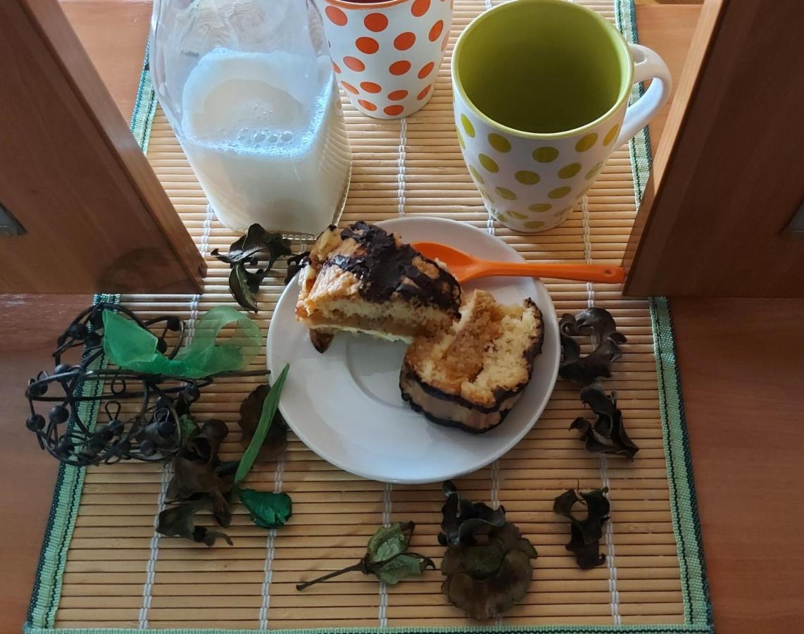 Apartamentos Ebro レイノサ エクステリア 写真